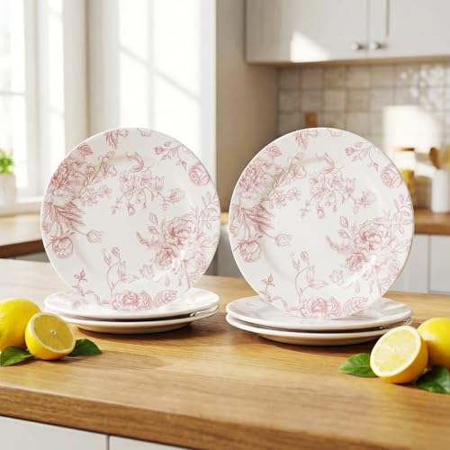 Ceramic Floral Plates Set of 6 6 Inch Pink and White Salad Dessert Plates