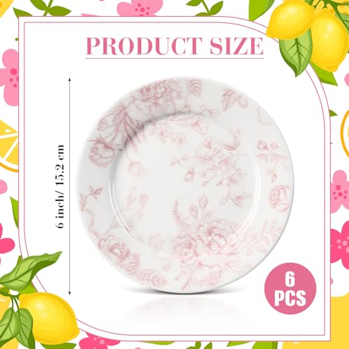Ceramic Floral Plates Set of 6 6 Inch Pink and White Salad Dessert Plates